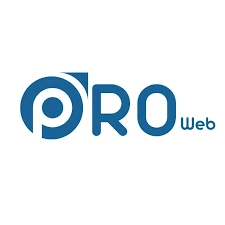 Professional Website Nepal logo